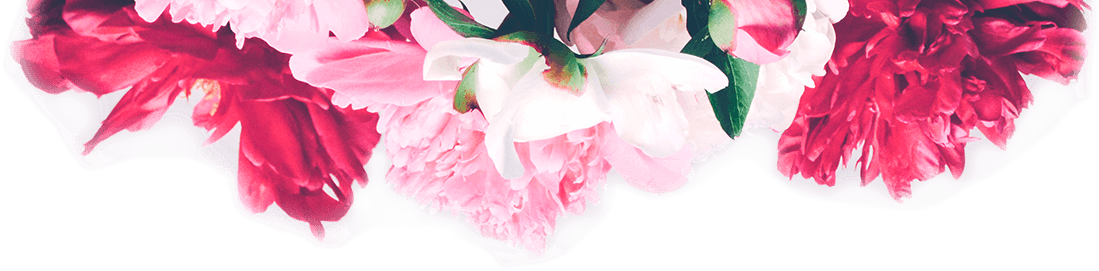 Banner I Fiori di Sophie